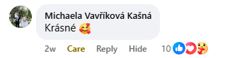 Facebook-Bewertung 3